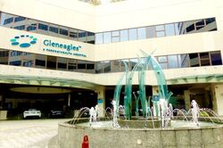 Gleneagles Hospital (D10), Retail #474593601